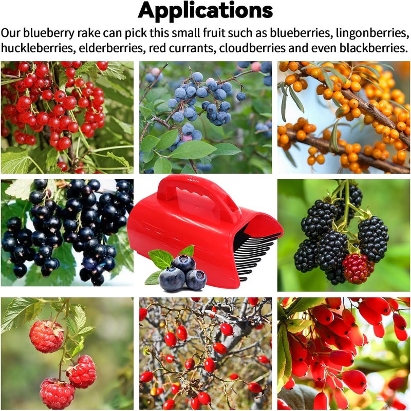SUGOOE 2 Pack Blueberry Picker with Metallic Comb and Ergonomic Metal Handle, Plastic Scoop for Blueberries Lingonberries Huckleberries (Red) - Image 5